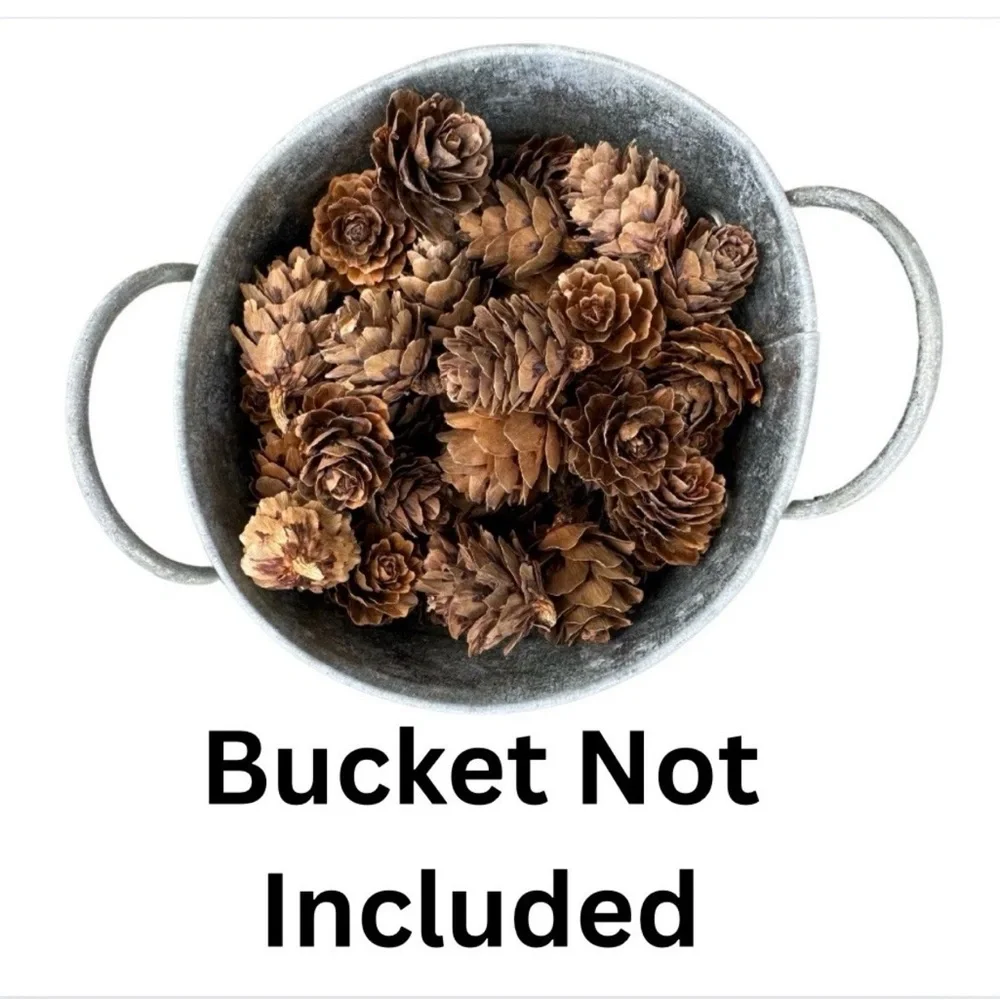 Natural Brown Mini Pine Cones for Home Decor